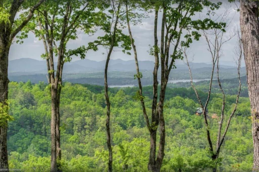 Holiday home Sky High - Blue Ridge